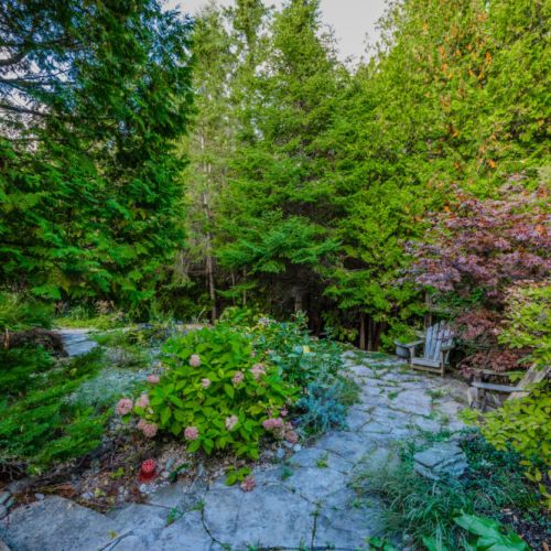 A serene pathway winds through lush gardens and towering trees, creating a private and tranquil setting. Perfect for peaceful strolls or quiet reflection.