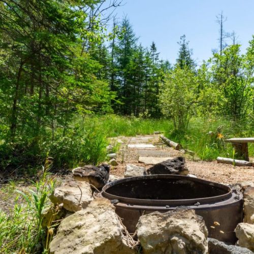 Gather around the rustic stone firepit tucked in the trees—ideal for roasting marshmallows, storytelling, and stargazing.