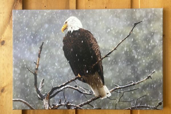 Lion’s Head Fine Art Photography Gallery