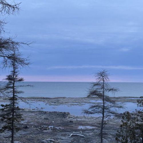 Start your day with calming lake views, framed by evergreens and soft dawn light—perfect for nature lovers