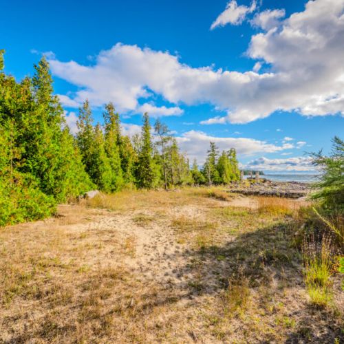 A serene pathway through a grassy clearing leads to breathtaking lake views, surrounded by towering trees and open skies, offering a peaceful retreat into nature.