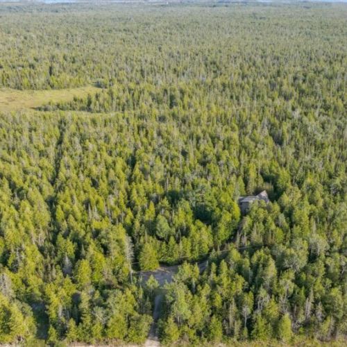 Tucked deep within 35+ acres of pristine forest, this private retreat offers unmatched seclusion while keeping you close to Tobermory’s highlights.