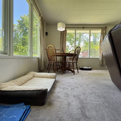 A bright, airy room with large windows offering views of lush greenery. A wooden table with chairs is set near the windows. The room features neutral carpeting and a pet bed placed on the floor.
