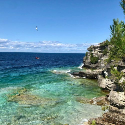 Book a private hike on the Bruce Trail with our certified Ontario Hike Leader.