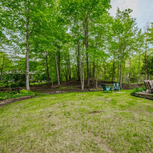 Unwind in the cozy seating area surrounded by tall trees, creating a serene environment for reading a book or sharing stories under the stars.