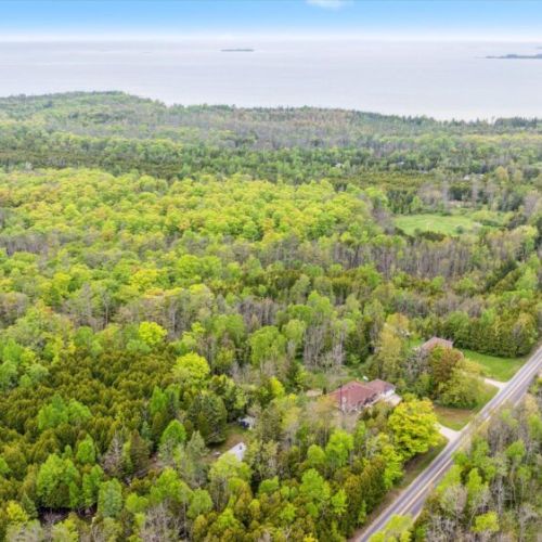 Here, the balance between wild forest and light-touch development is on full display. Chief’s Cottage sits quietly among other well-spaced homes, giving you a neighborly sense of community while still preserving that off-the-grid feeling.