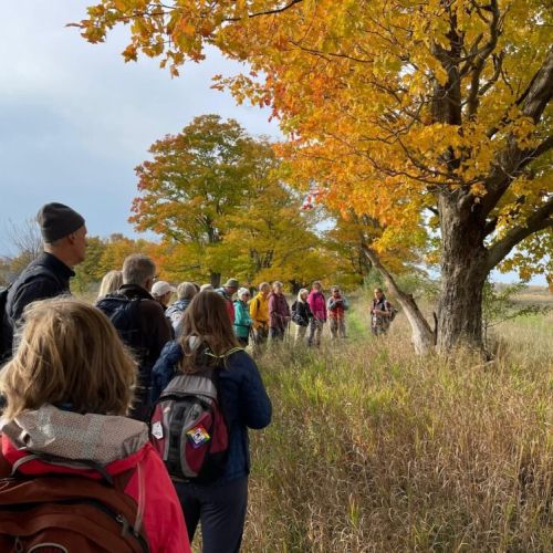 Book a private hike on the Bruce Trail with our certified Ontario Hike Leader.