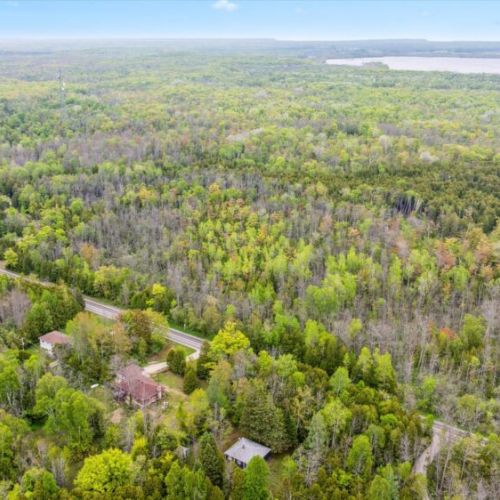 Looking inland, this sweeping forest panorama highlights the vast and wild landscape that surrounds Chief’s Cottage. Whether you’re hiking, birdwatching, or just unwinding, the setting offers a true back-to-nature escape.