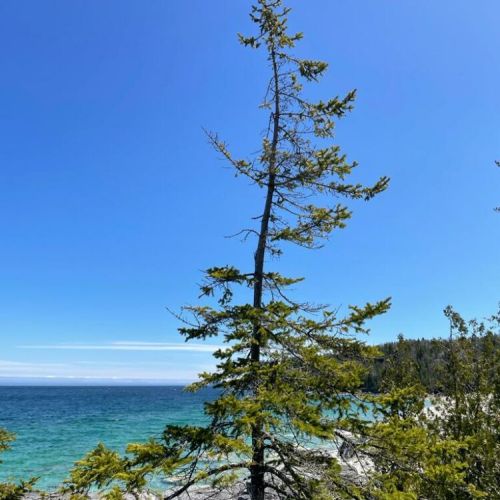 Book a private hike on the Bruce Trail with our certified Ontario Hike Leader.