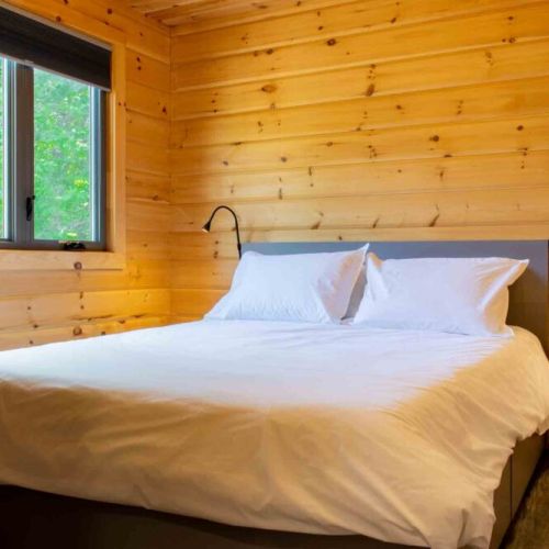 Cozy and inviting—queen bed with soft linens and a peaceful forest view.
