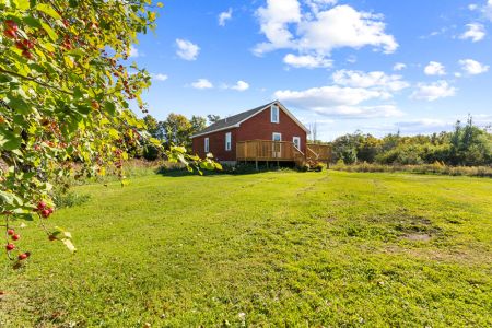 Enjoy the expansive lawn and mature trees that give this historic homestead its peaceful country charm.