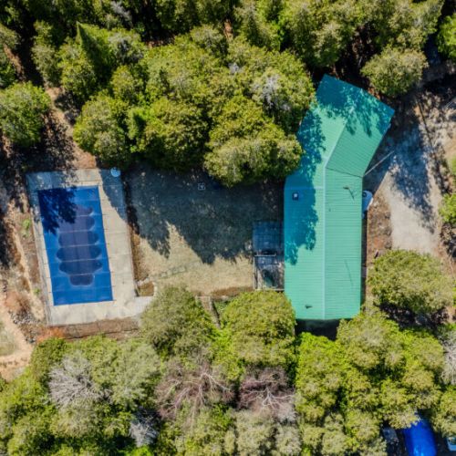 Top-down view of a private forested property featuring a green-roofed cabin and a in-ground pool—ideal for secluded vacation rentals and outdoor relaxation.