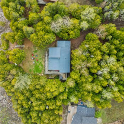 Nestled among the cedars, Blue Jay Cottage offers privacy, tranquility, and plenty of space to unwind.