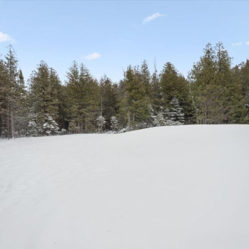 Wide-open natural landscape bordered by trees, giving guests privacy, tranquility, and a true Bruce Peninsula cottage feel.