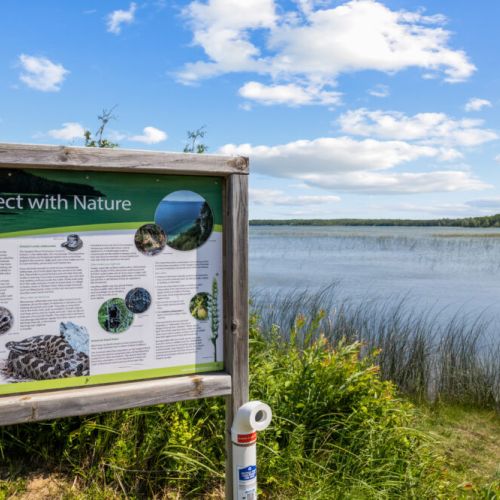 Discover the natural beauty of Miller Lake just steps from the cottage.