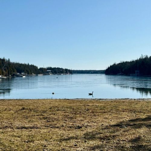 Start your day with the calm of a glassy bay, where the still waters mirror the soft glow of morning light. Perfect for early risers seeking quiet moments, gentle breezes, and a serene lakeside view.