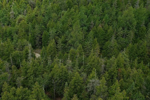 Parks Canada Visitor Centre