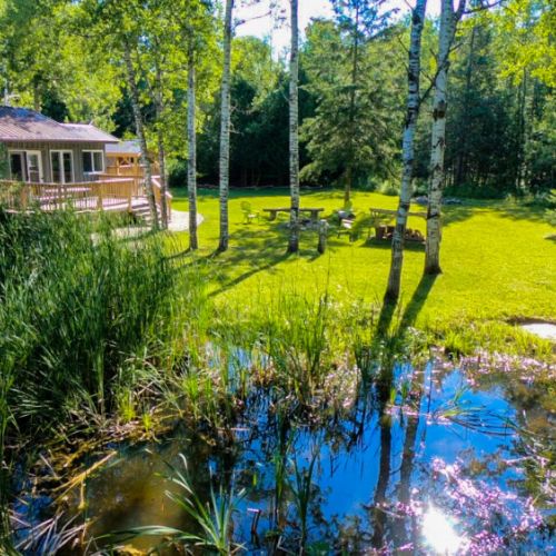 A serene pond with lush vegetation adds to the tranquil, nature-filled setting, making it a perfect retreat.