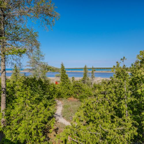 A quiet trail through the lush, green surroundings of Silver Birch Cottage, leading to the pristine waterfront.