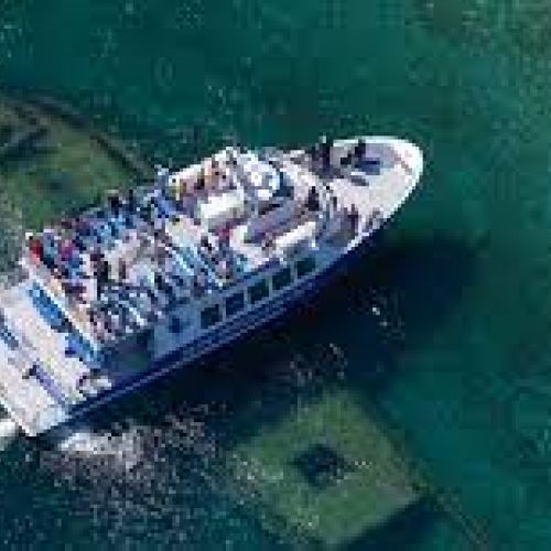 Take a boat tour over the shipwrecks and make your way out to flowerpot island for some hiking!