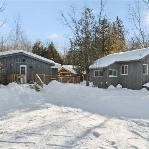 A wide, snowy yard with both the loft suite and shared cabin spaces nearby. Plenty of room to breathe, relax, and enjoy the quiet Peninsula setting.