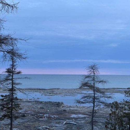 Start your day with calming lake views, framed by evergreens and soft dawn light—perfect for nature lovers