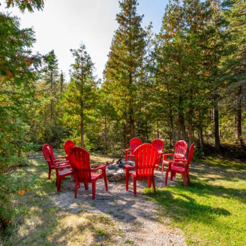 Guarav's lounge nestled among trees, this seating area is a delightful spot for guests to engage with nature and enjoy the tranquility of the surrounding woodland.