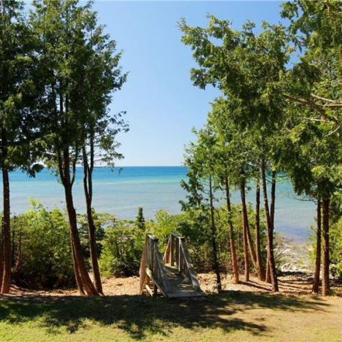 Scenic path through the trees leading to your private shoreline.
