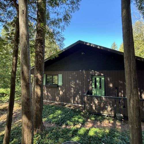 The beautiful TGIF nestled amongst the cedars.