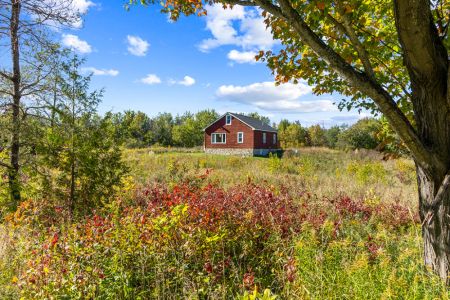 Historic Smith Homestead surrounded by colourful fields, mature trees and the peaceful beauty of the countryside.