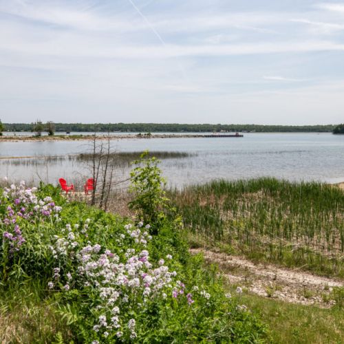Wildflowers and waterfront views show off the natural beauty right outside your door.