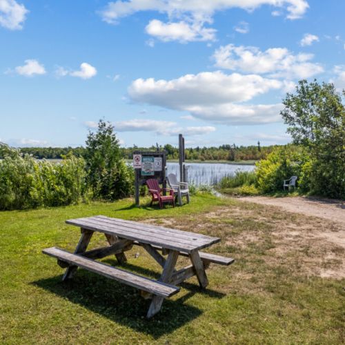 Enjoy a picnic by the lake before heading out for a day on the water.