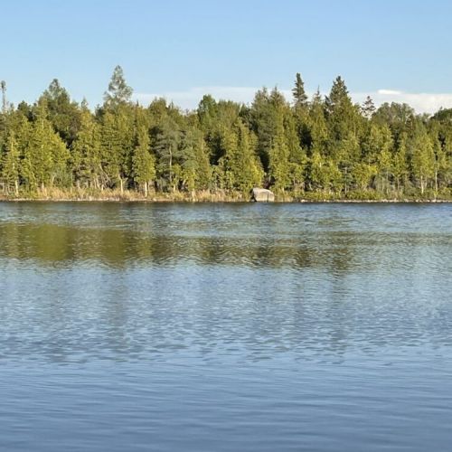 Calm, crystal-clear waters framed by peaceful forest views