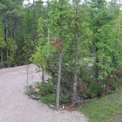 Convenient gravel driveway offers plenty of parking space for your travel group — easy access for your adventure basecamp.