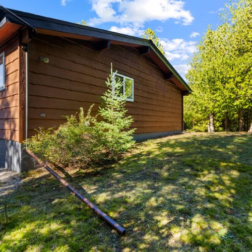 Nestled among mature cedars, Stone & Timber offers privacy and a true escape into nature.