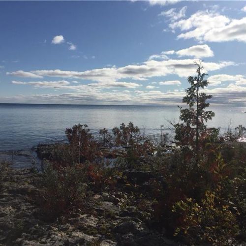 Natural shoreline surrounded by native plants and wide-open lake views.