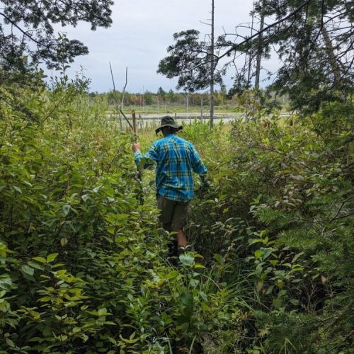 Winding through lush greenery, this trail leads you to hidden lakeside gems—perfect for a morning hike or nature walk.