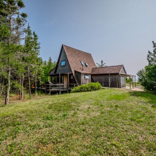 Spacious backyard surrounded by trees—great for outdoor games, stargazing, or simply soaking up the peaceful, private setting.