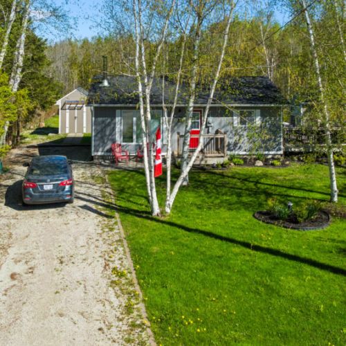 Enjoy a long, spacious gravel driveway with plenty of room for parking, paired with a beautifully lush, sun-drenched green lawn wrapped in classic birch trees.