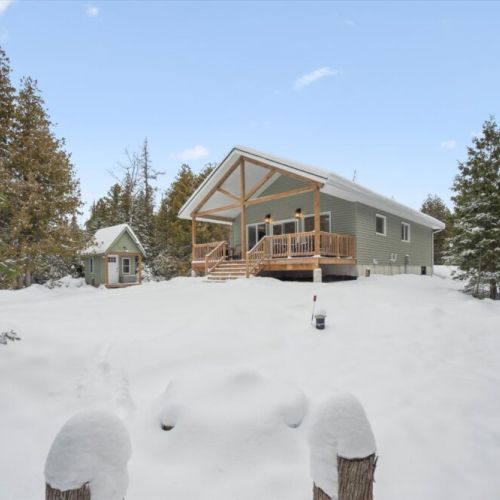 Expansive natural yard surrounded by trees, offering privacy, space to play, and a true connection to nature.