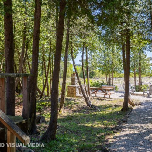Peaceful forest path leading toward the waterfront—quiet, shaded, and scenic.
