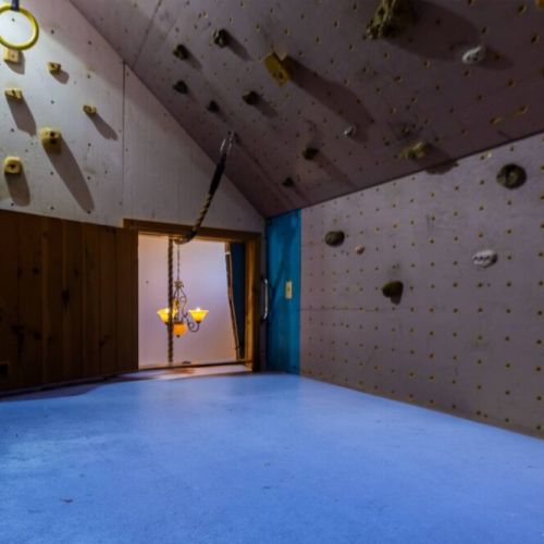 Climb into adventure with a private indoor rock wall—great for kids, fitness lovers, and anyone looking to elevate their vacation fun!
