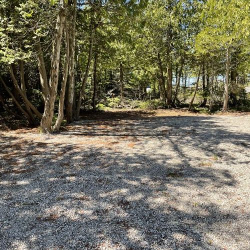 Private, peaceful setting surrounded by natural forest