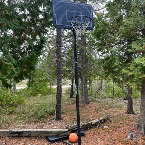 Shoot some hoops out in the yard!