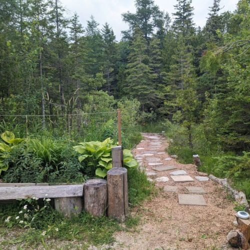 Follow the scenic trail through the trees to reach the firepit—your own private path to cozy outdoor evenings.