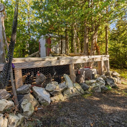 A small chicken coop adds to the property's unique country charm and homestead feel.