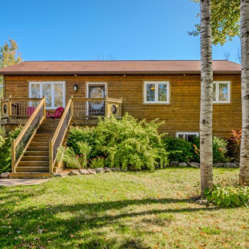 Welcome to Black Bear Cottage, a peaceful outdoor setting with tall trees and soft sunlight. A modern wooden staircase leads to a home with natural wood siding all throughout.