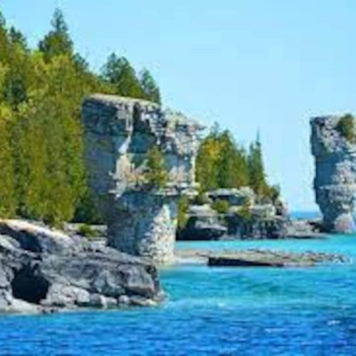 Take a glass bottom boat tour to Flower Pot Island. Departures are from Tobermory daily.
