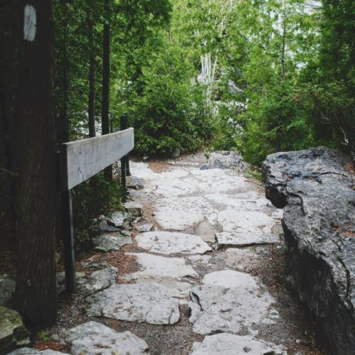 Scenic forest trail just minutes from the cottage—perfect for nature walks, hiking adventures, and exploring the beauty of Bruce Peninsula during your peaceful getaway.