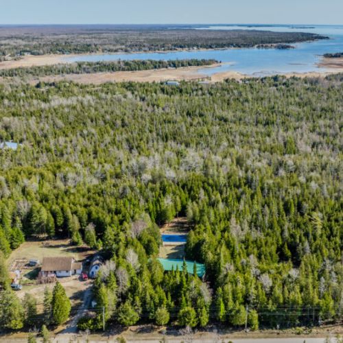 Aerial view of a private, forested property near the shoreline—ideal for secluded retreats and nature-focused vacation rentals.